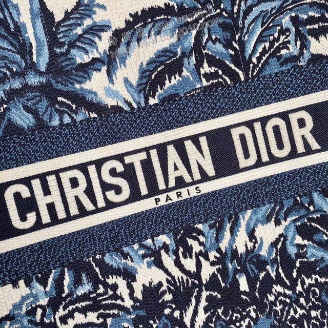 Dior女包 迪奧book tote棕櫚樹小號托特包 Dior刺繡購物袋  dfk1766